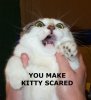 Why-KittieScared.jpg